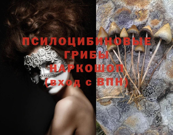 экстази Алексеевка