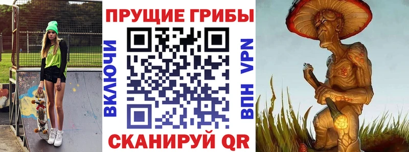 blacksprut сайт  Павловский Посад  Псилоцибиновые грибы Cubensis 
